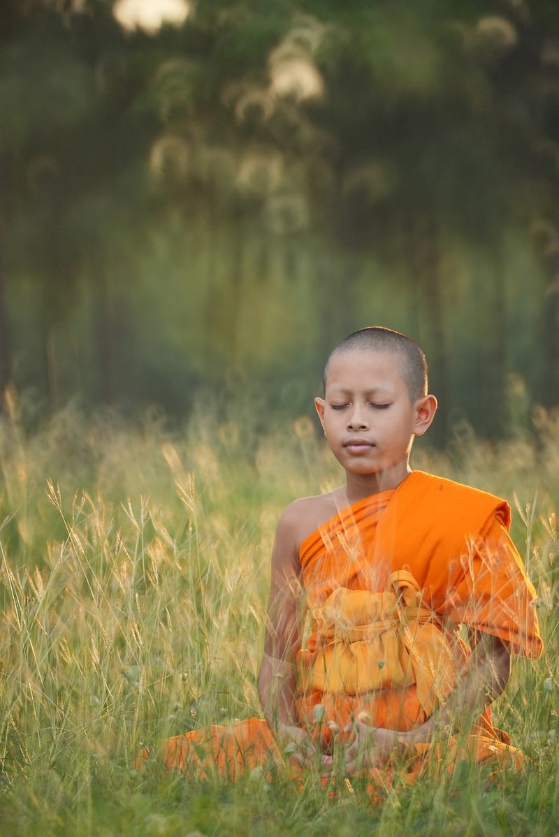 Vinyasa Flow Yoga